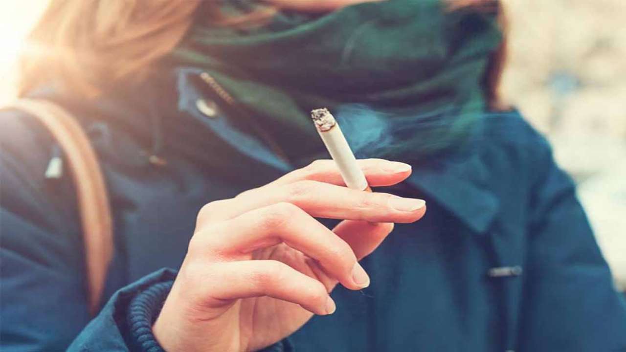 Nicotine có phải chất độc hay không?